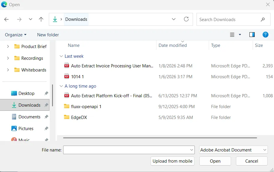 File Options.png